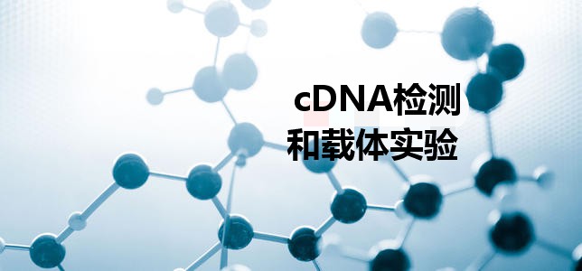 cDNAzydw(sh)(yn)